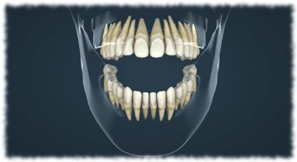 Улыбка под номером: Как стоматологи переводят улыбки на свой язык нумерации